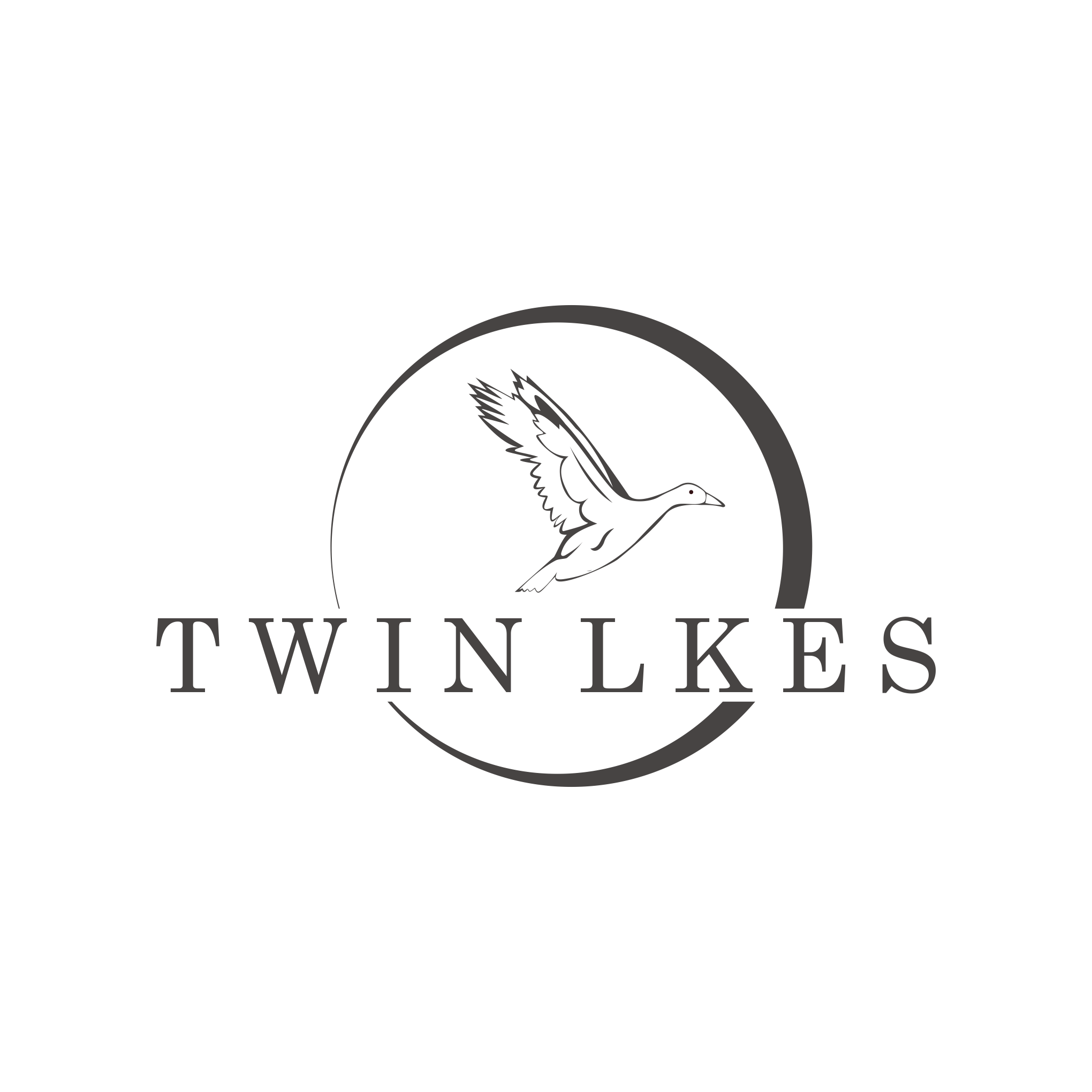 Logo Design by vanion282 for this project | Design #30130885