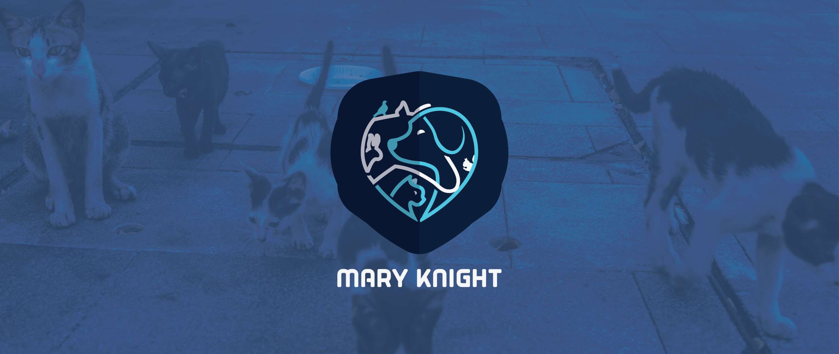Logo Design by Kelechi Design for this project | Design #30184934