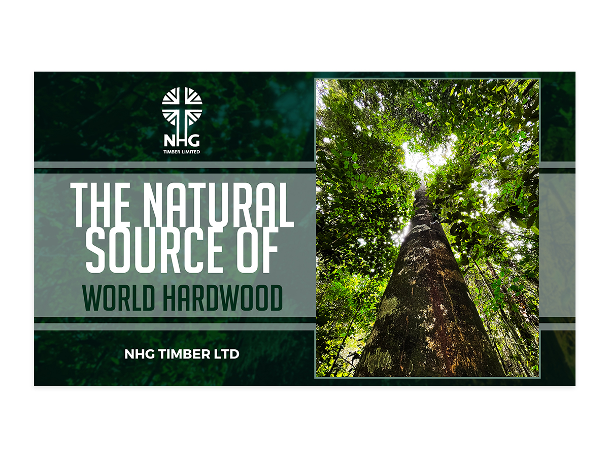 Graphic Design by rug for NHG Timber Ltd | Design #30127612