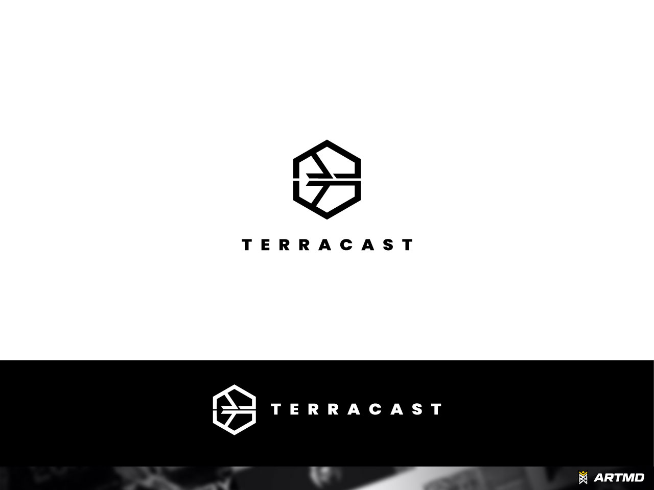 Logo Design by ARTMD for this project | Design #30134468