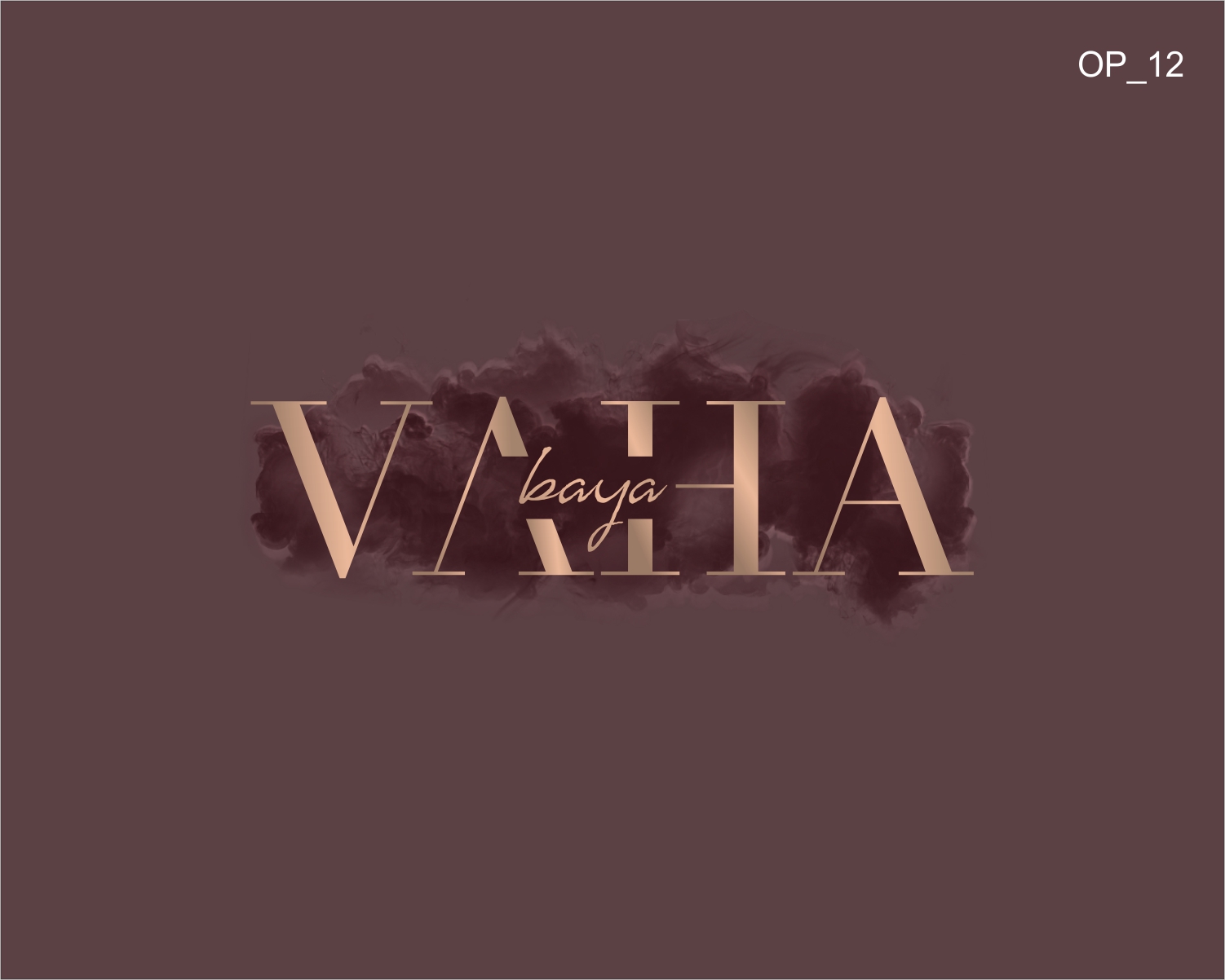 Logo Design by CIG Designer for this project | Design #30147734