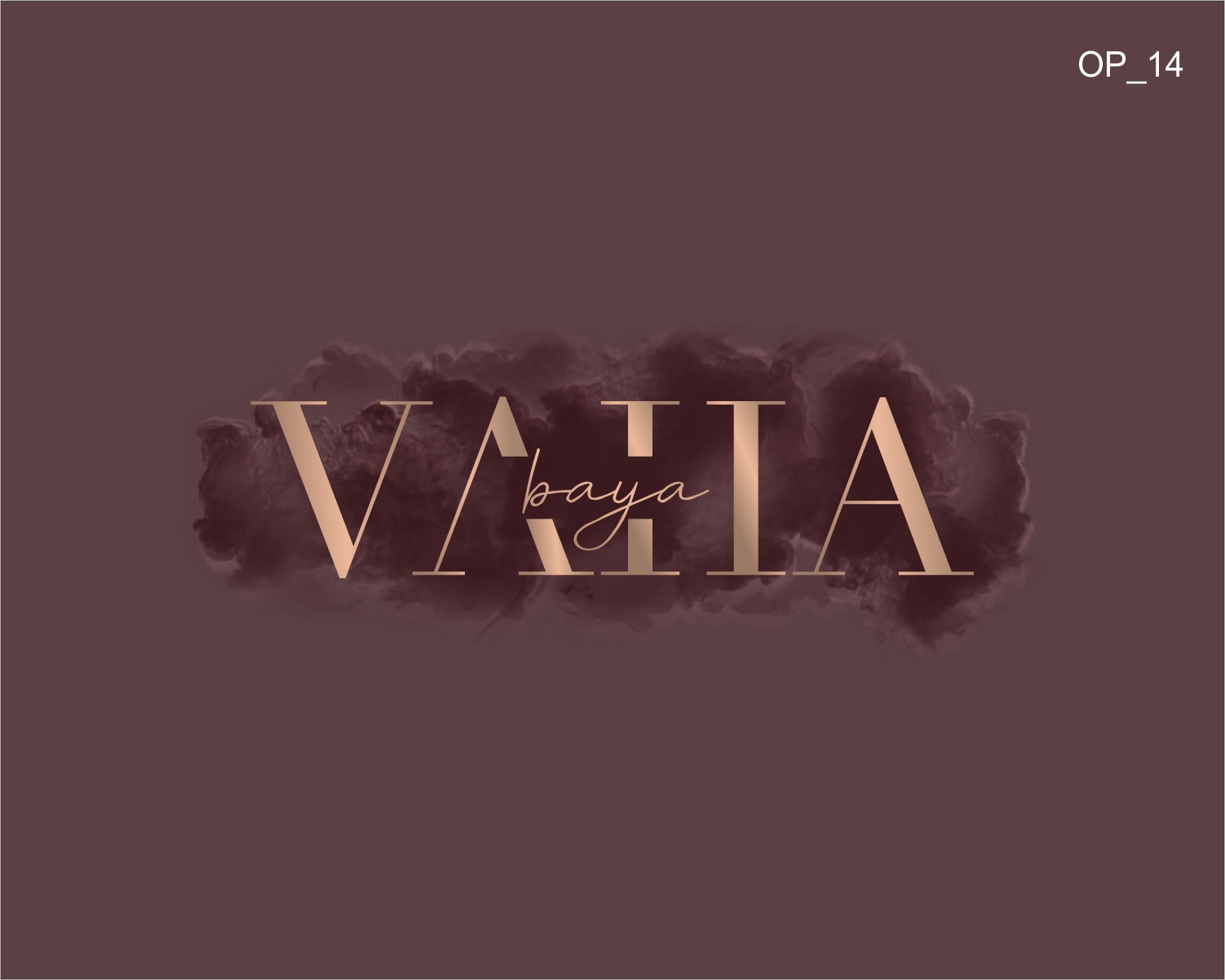 Logo Design by CIG Designer for this project | Design #30147777