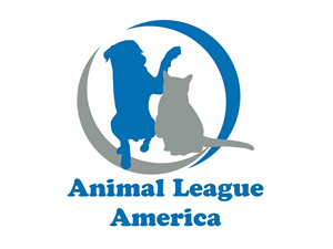 Logo Design by Credign