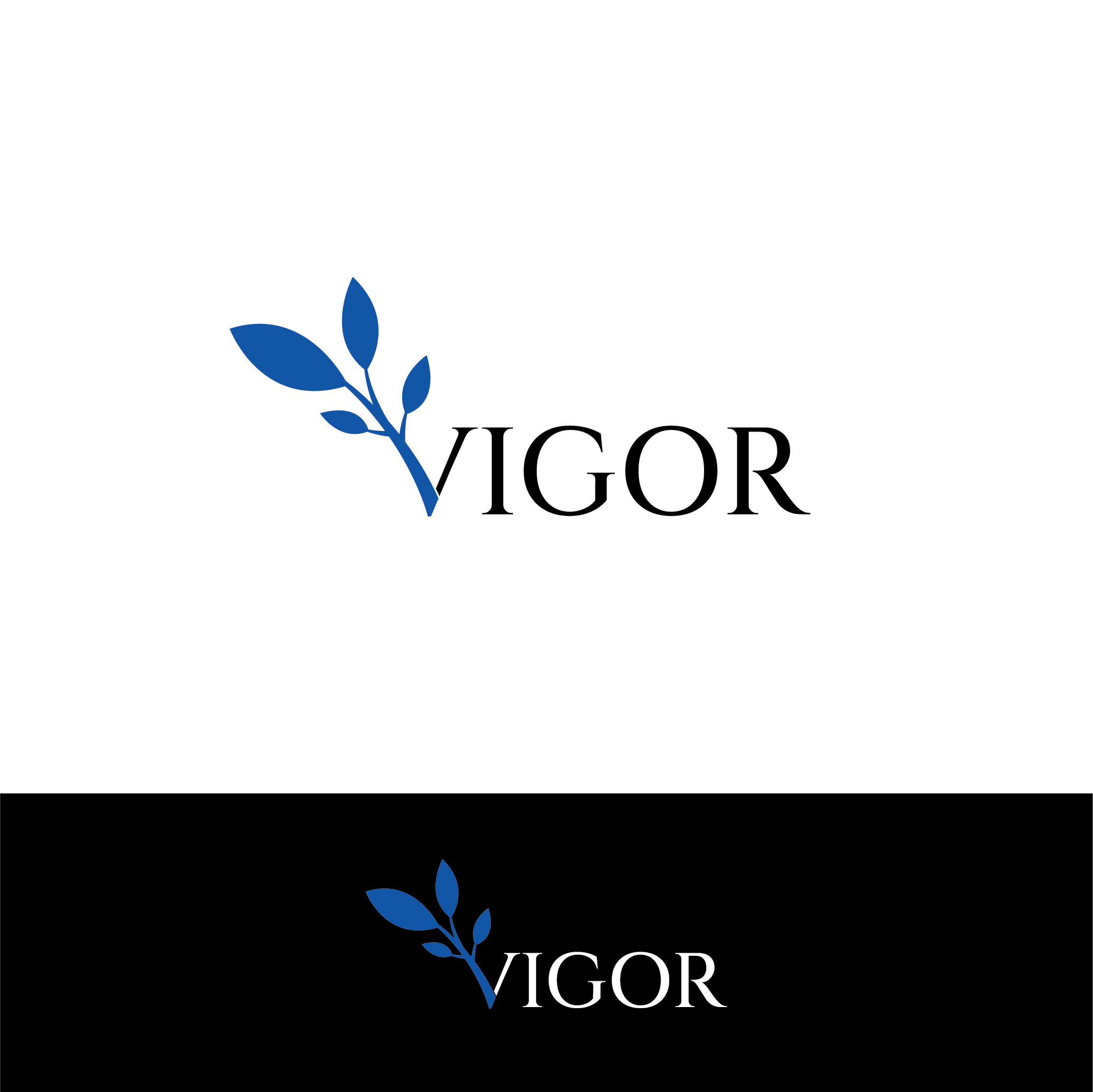 Logo-Design von Abdullah_Graphics für The Cooperative Import Company | Design #30170063