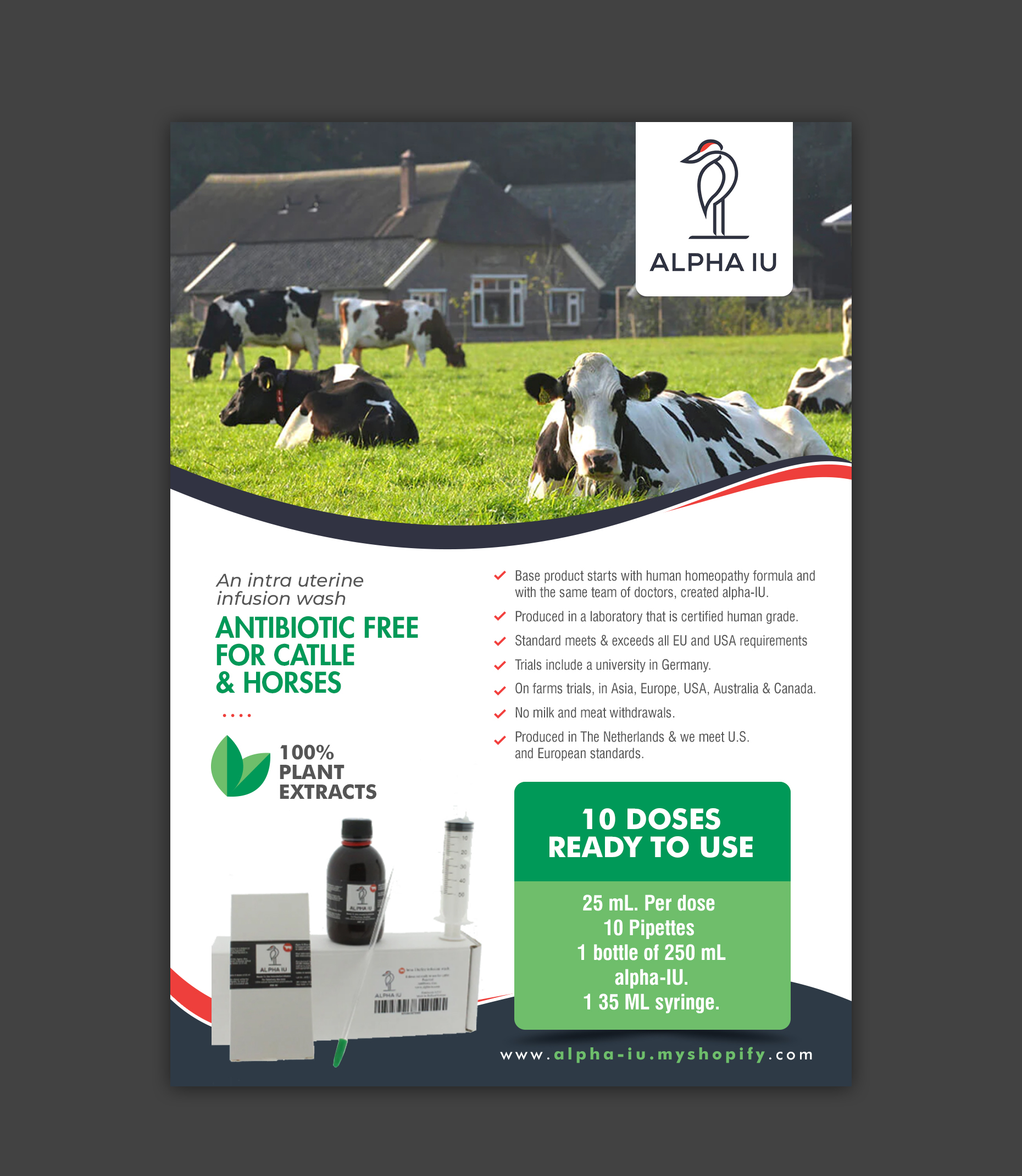 Flyer Design by chandrayaan.creative for this project | Design #30201205