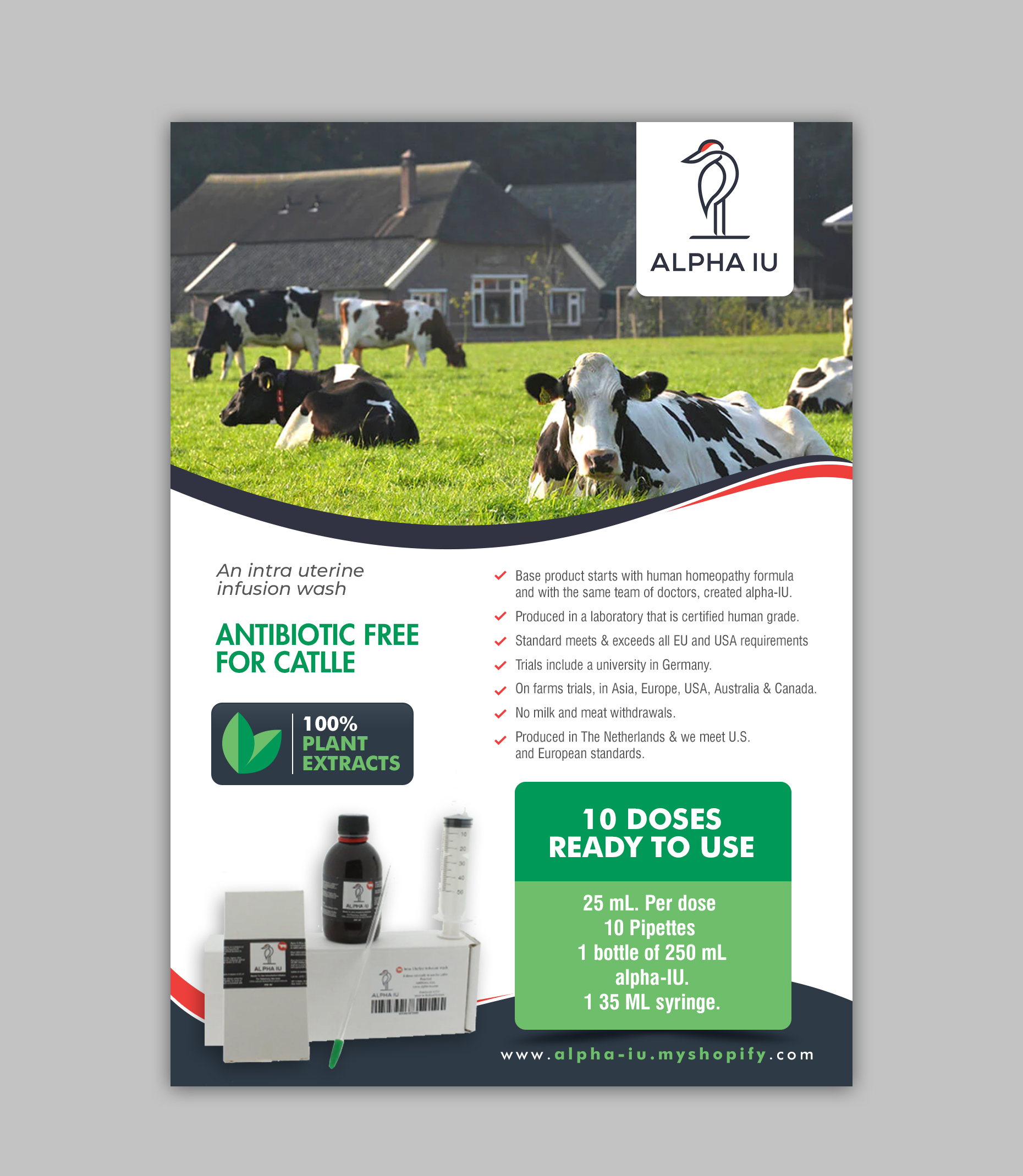Flyer Design by chandrayaan.creative for this project | Design #30243581