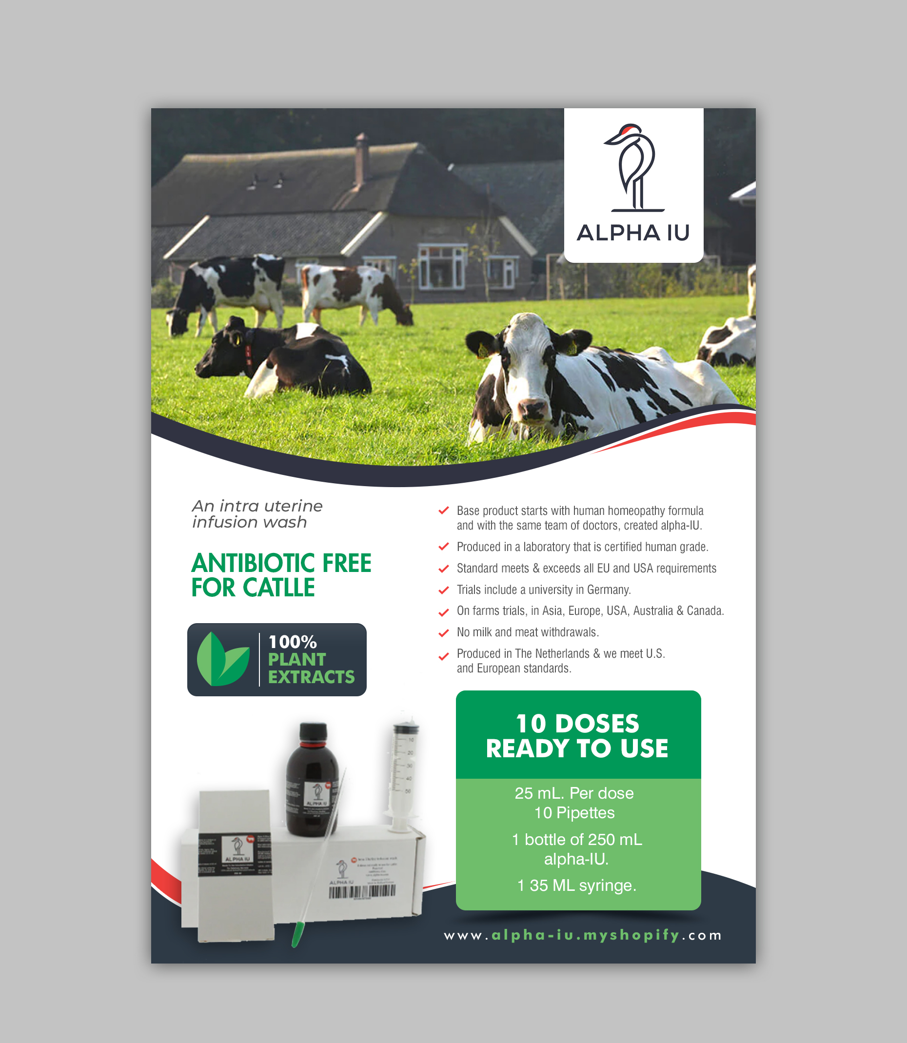 Flyer Design by chandrayaan.creative for this project | Design #30243590