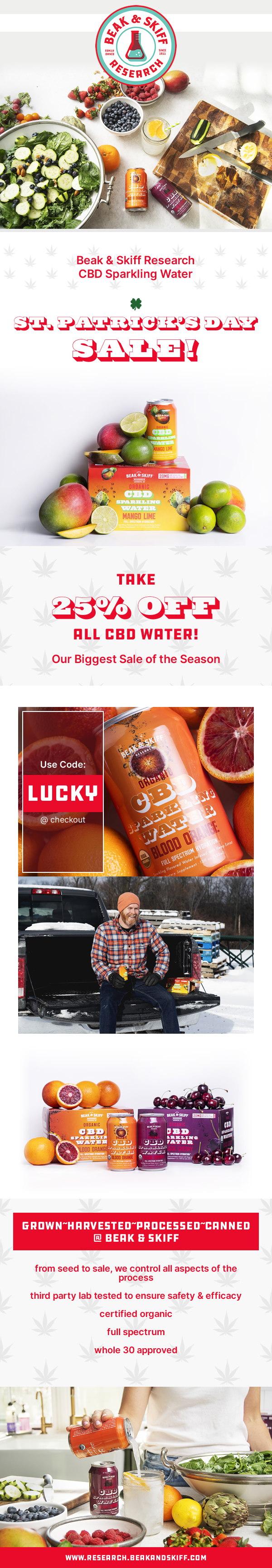 Web Design by Mikai!13 for this project | Design #30146714