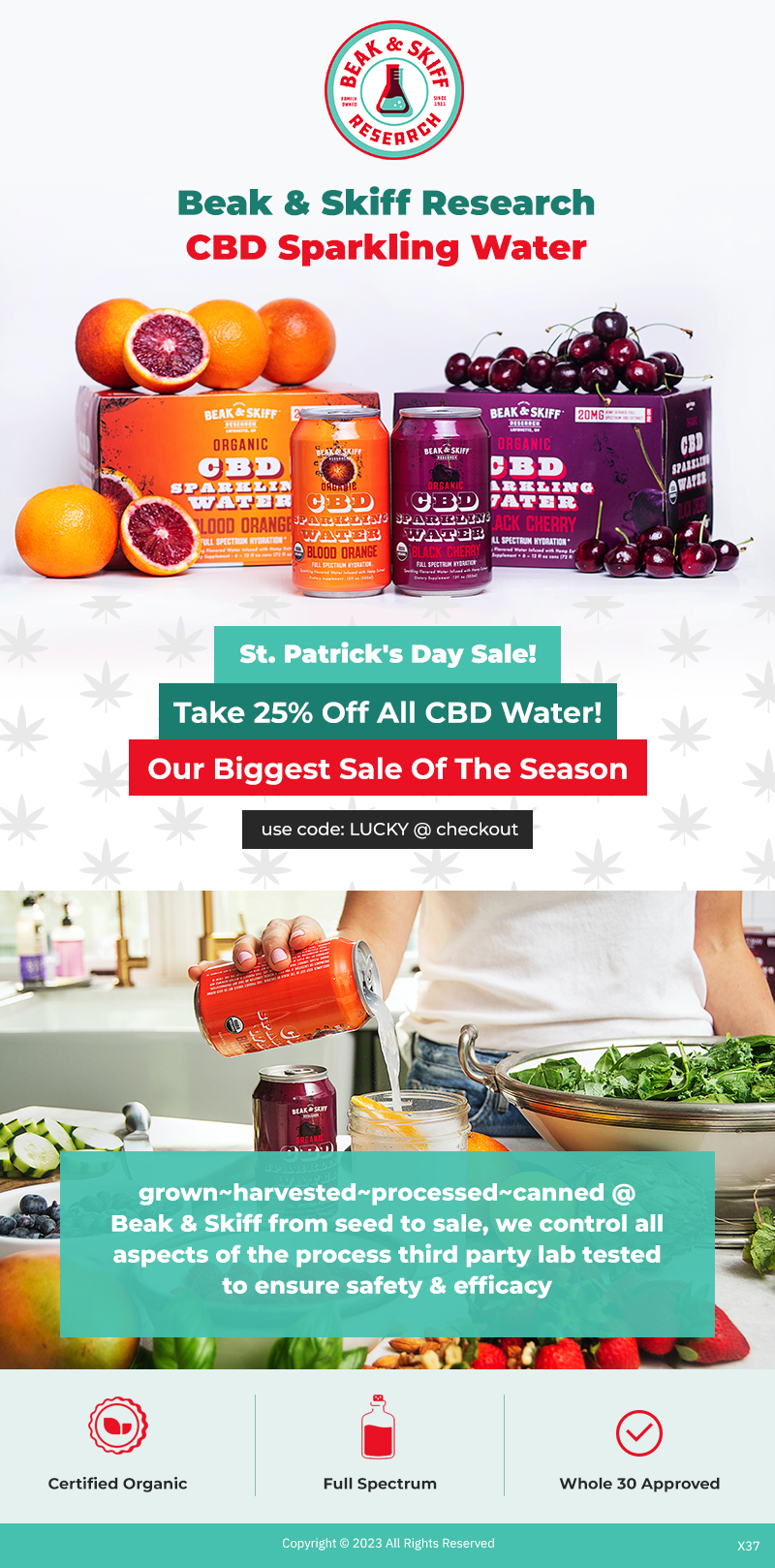 Web Design by pb for this project | Design #30148781