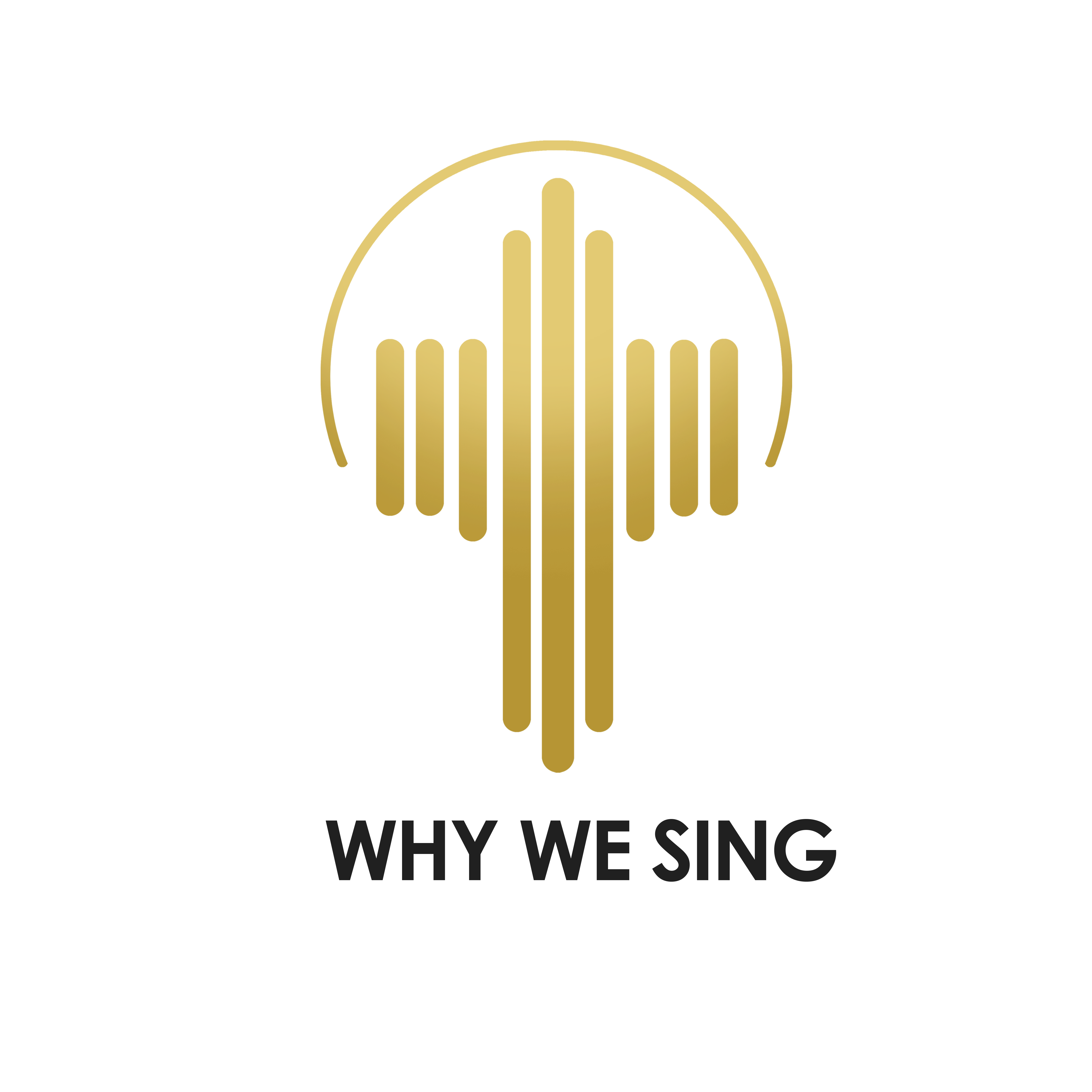 Logo Design by Vikum 3 for DS, LLC | Design #30161172