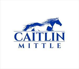 Logo-Design von Soul Light für dieses Projekt | Design: #30161041