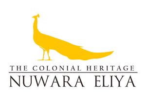 Logo Design by Topher Padilla for this project | Design: #30174136