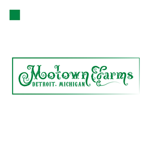 Logo Design by basitmadni290