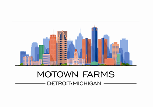 Logo Design by Carol Vidal