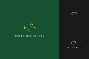 Diseño de Logo por alitjuara para este proyecto | Diseño: #30194220