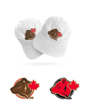 Logo Design by Impressive Solutions