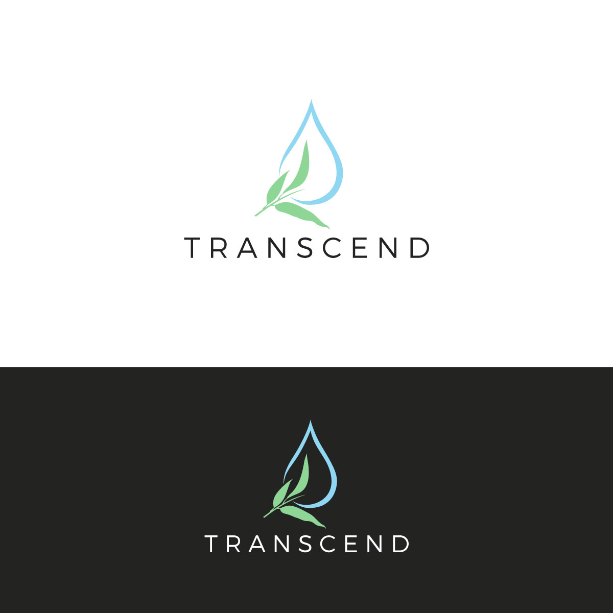Design de Logo par chris Ray pour ce projet | Design #30183770