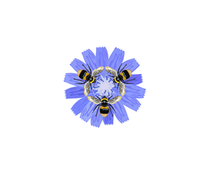 Logo Design by James J. for LandStream | Design: #30332071