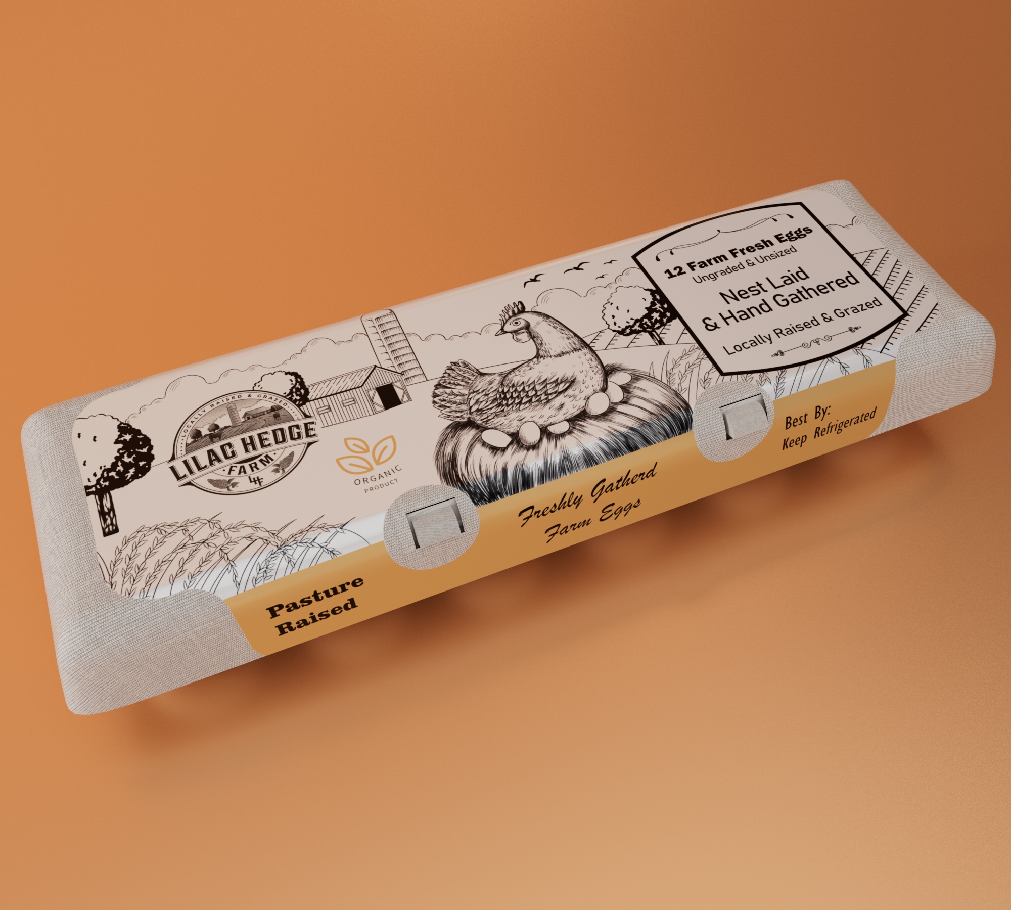 Diseño de Empaque por Dylan H para este proyecto | Diseño #30203475