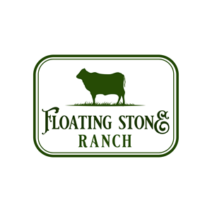 Logo Design by Pegasus