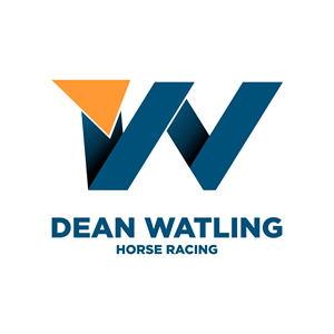Logo Design by ozan 3