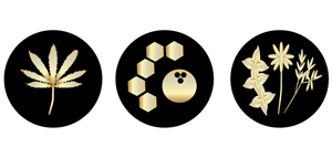 Logo Design by mixedmedia