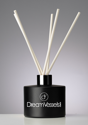 Logo Design by art.edison for Dream Vessels Pty Ltd | Design: #30215380