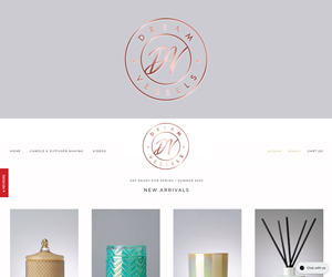 Logo Design by Ansh Design for Dream Vessels Pty Ltd | Design: #30205242