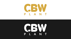 Logo Design by ubaid2792