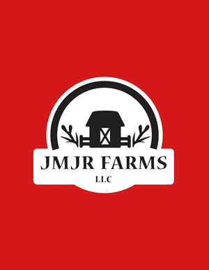 Logo Design by Bird Designs