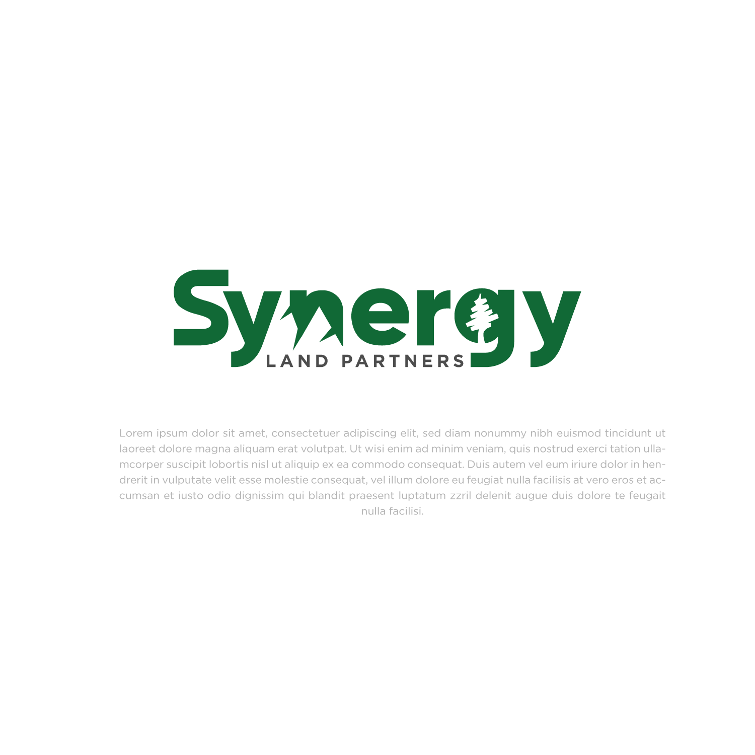 Logo Design by Abdul 20 for Synergy Land Group, LLC | Design #30201508
