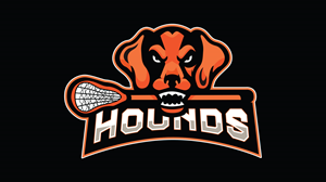 Logo Design by Paul Federico