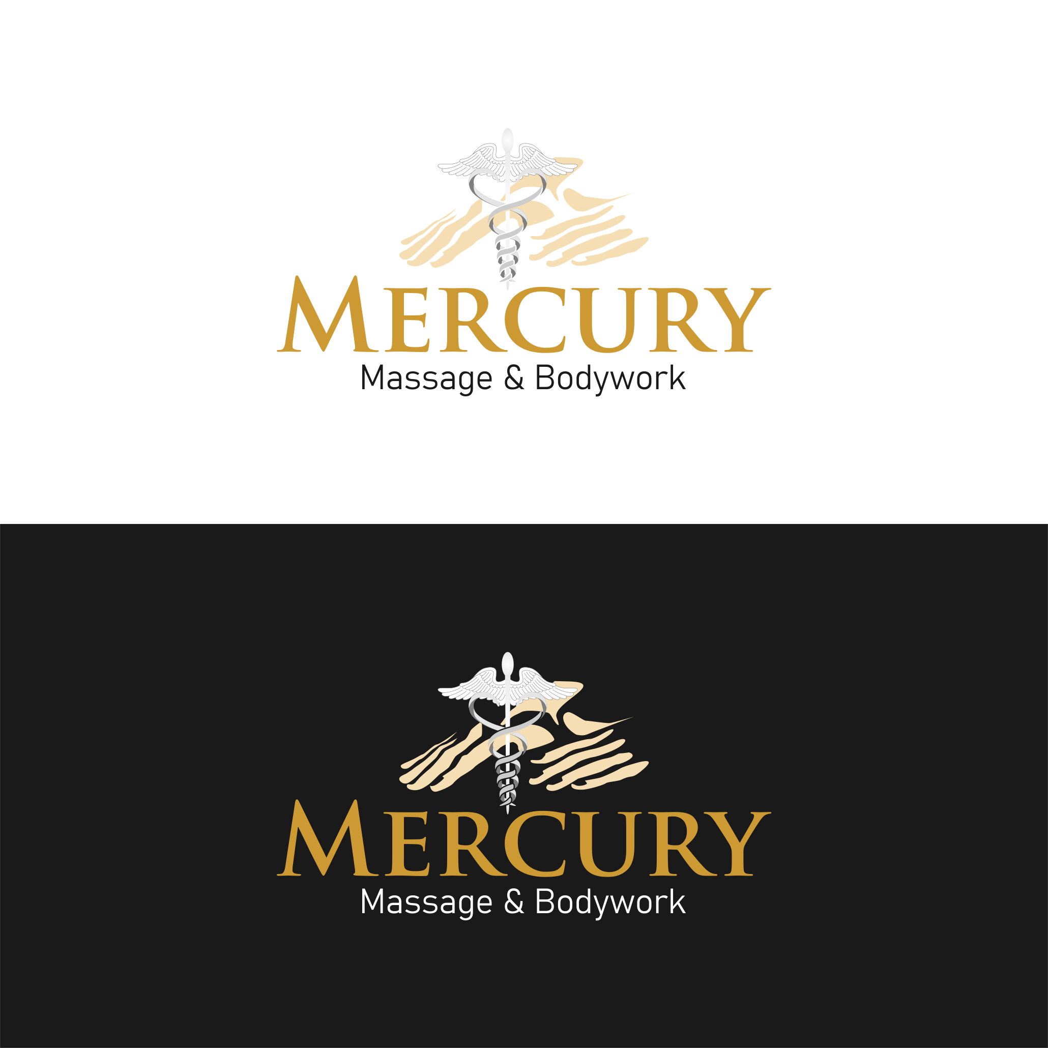 Logo Design by R16 for this project | Design #30203373
