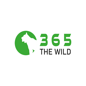 Logo Design by COR for this project | Design: #30203793