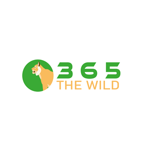Logo Design by COR for this project | Design: #30203795