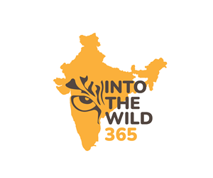 Logo Design by OscarV21