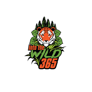 Diseño de Logo por prodesigns99 para este proyecto | Diseño #30203067