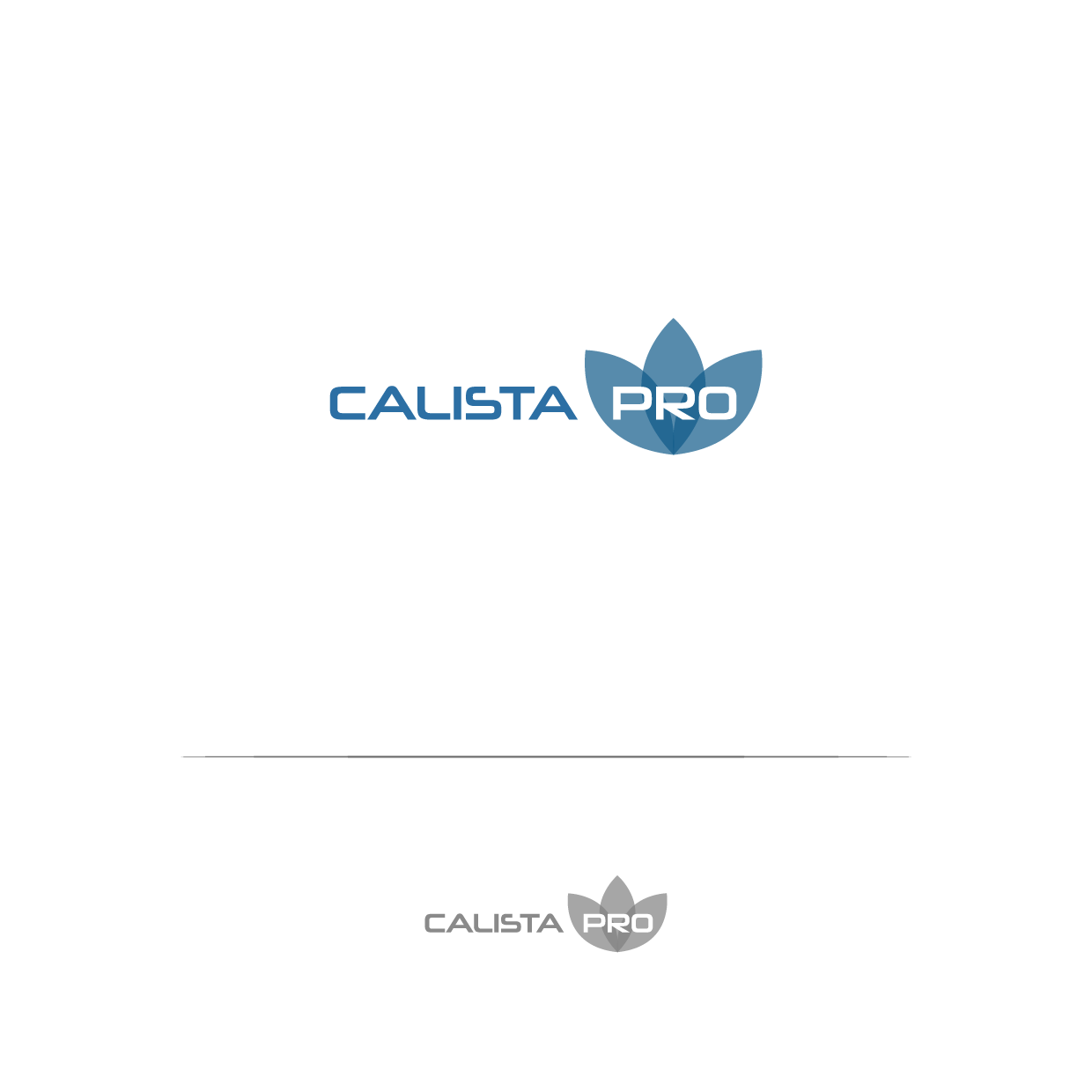 Logo Design by ashantha for this project | Design #30257756