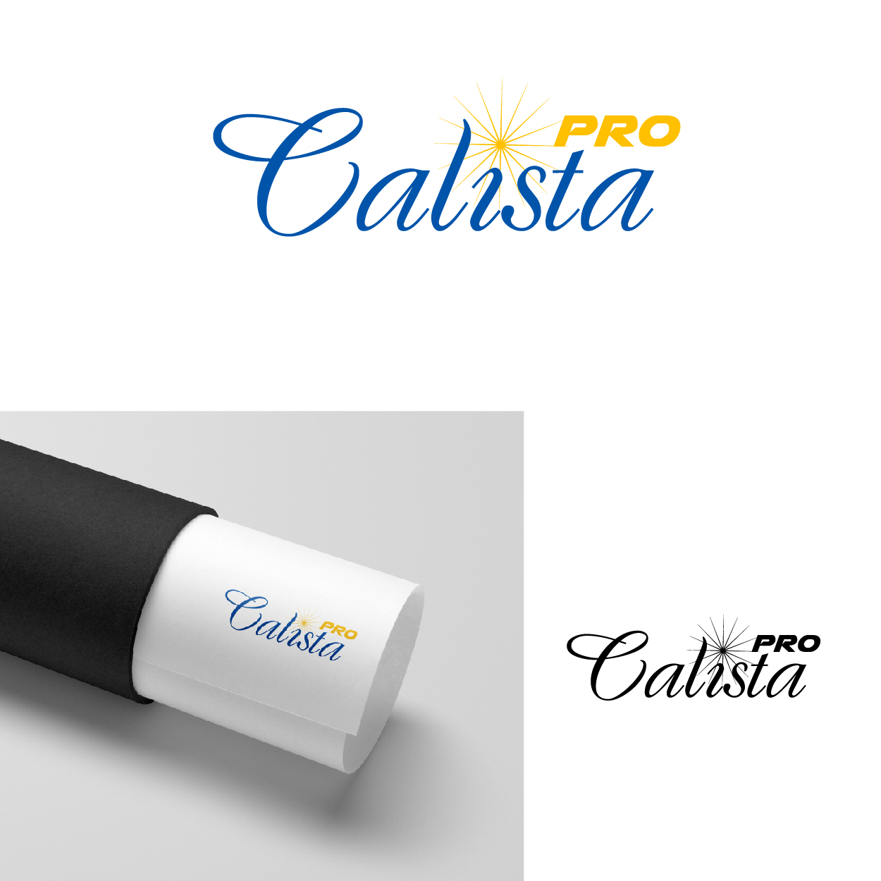 Logo Design by Maxo-Biz for this project | Design #30256732