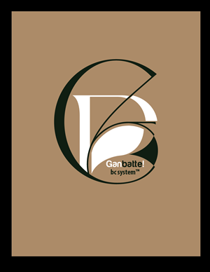 Logo Design by sidraali for Adaptive BC Solutions | Design: #30225293