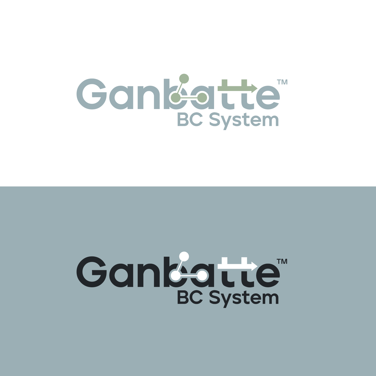 Logo Design by Abdul 20 for Adaptive BC Solutions | Design #30226894