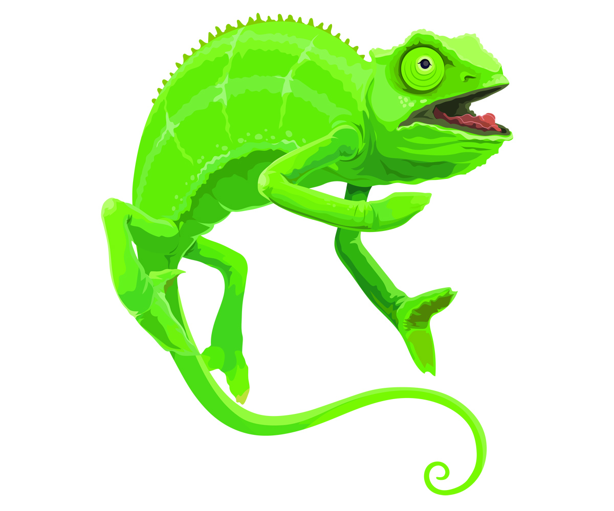 Diseño de Mascota por branding2biz para este proyecto | Diseño #30250277