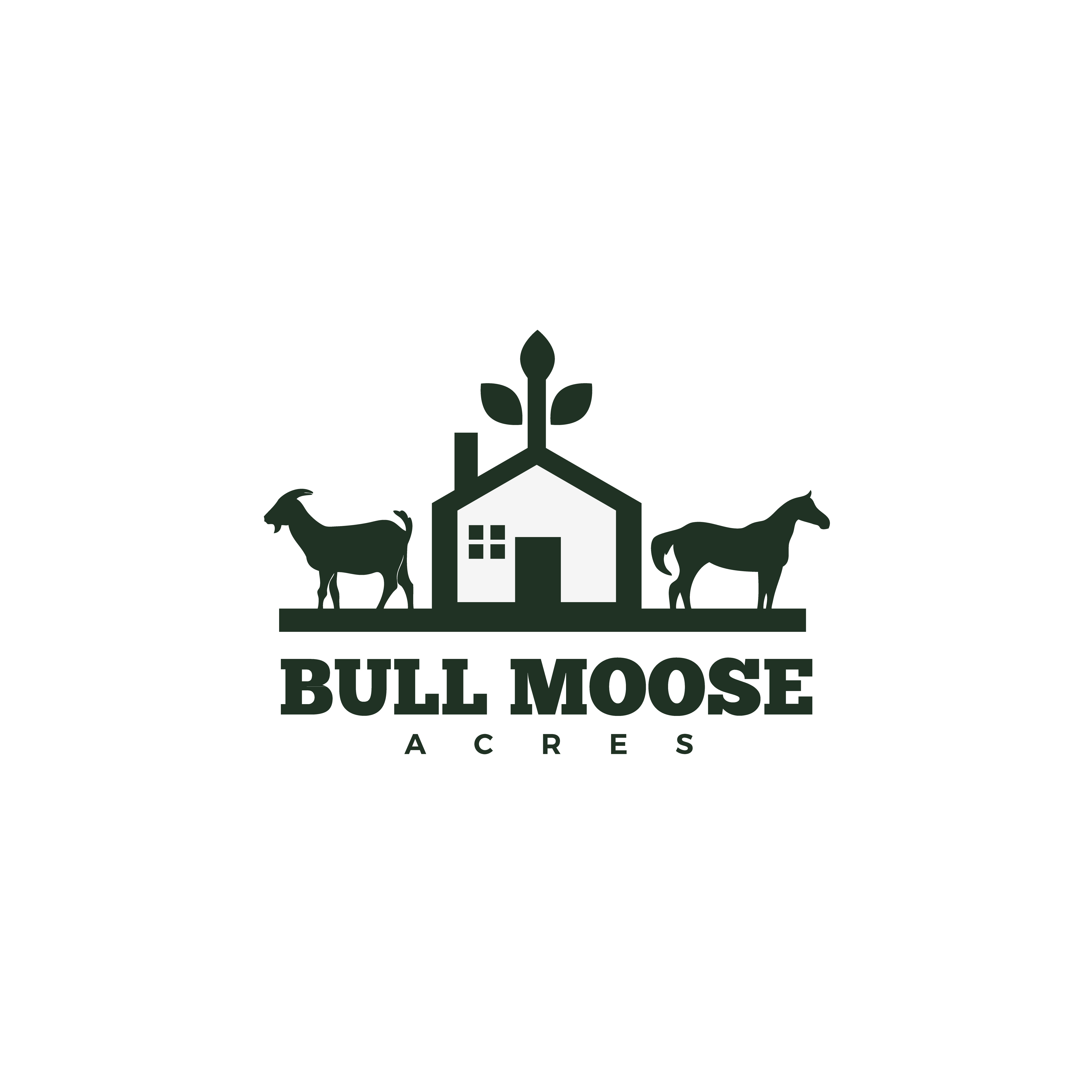 Diseño de Logo por UMA 7 para este proyecto | Diseño #30227484