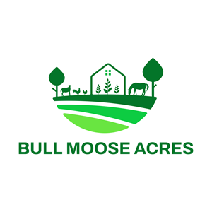 Logo Design by Choiresia.id for this project | Design: #30210549