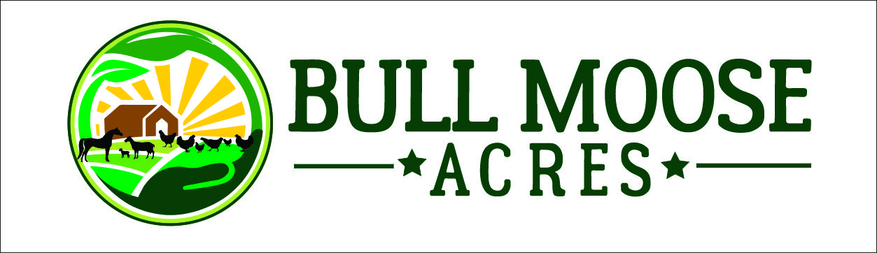 Logo Design by pipeyard for this project | Design #30239874