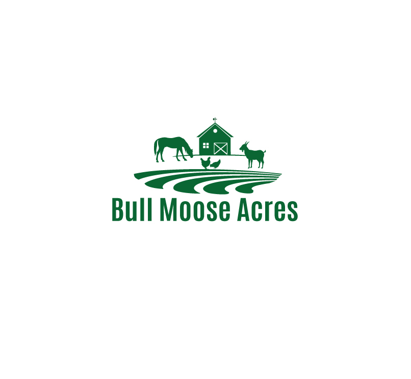 Diseño de Logo por instudio para este proyecto | Diseño #30210071