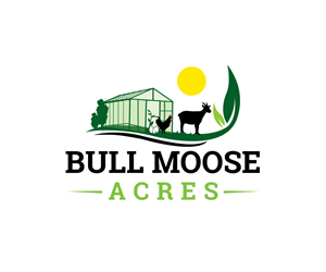 Logo Design by Ansh Design for this project | Design: #30211460