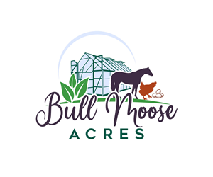 Logo Design by Ansh Design for this project | Design: #30211461