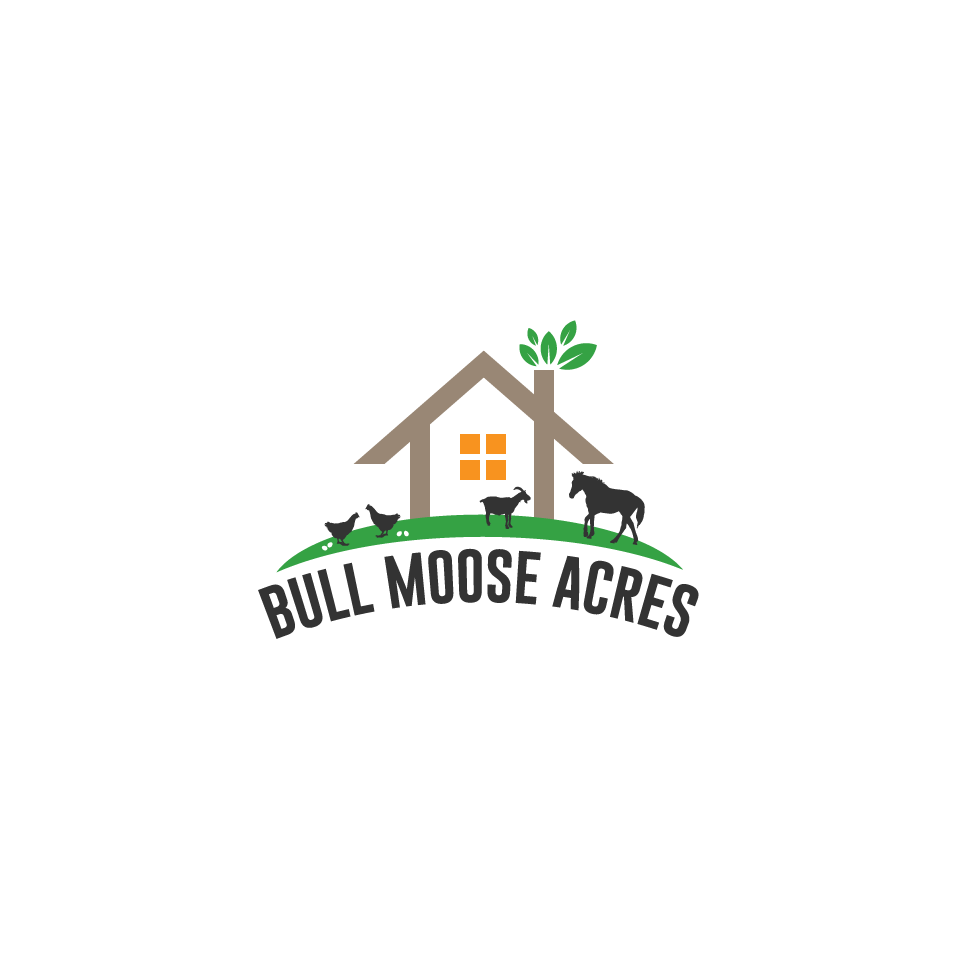 Logo Design by 1975oliverocampo for this project | Design #30211641