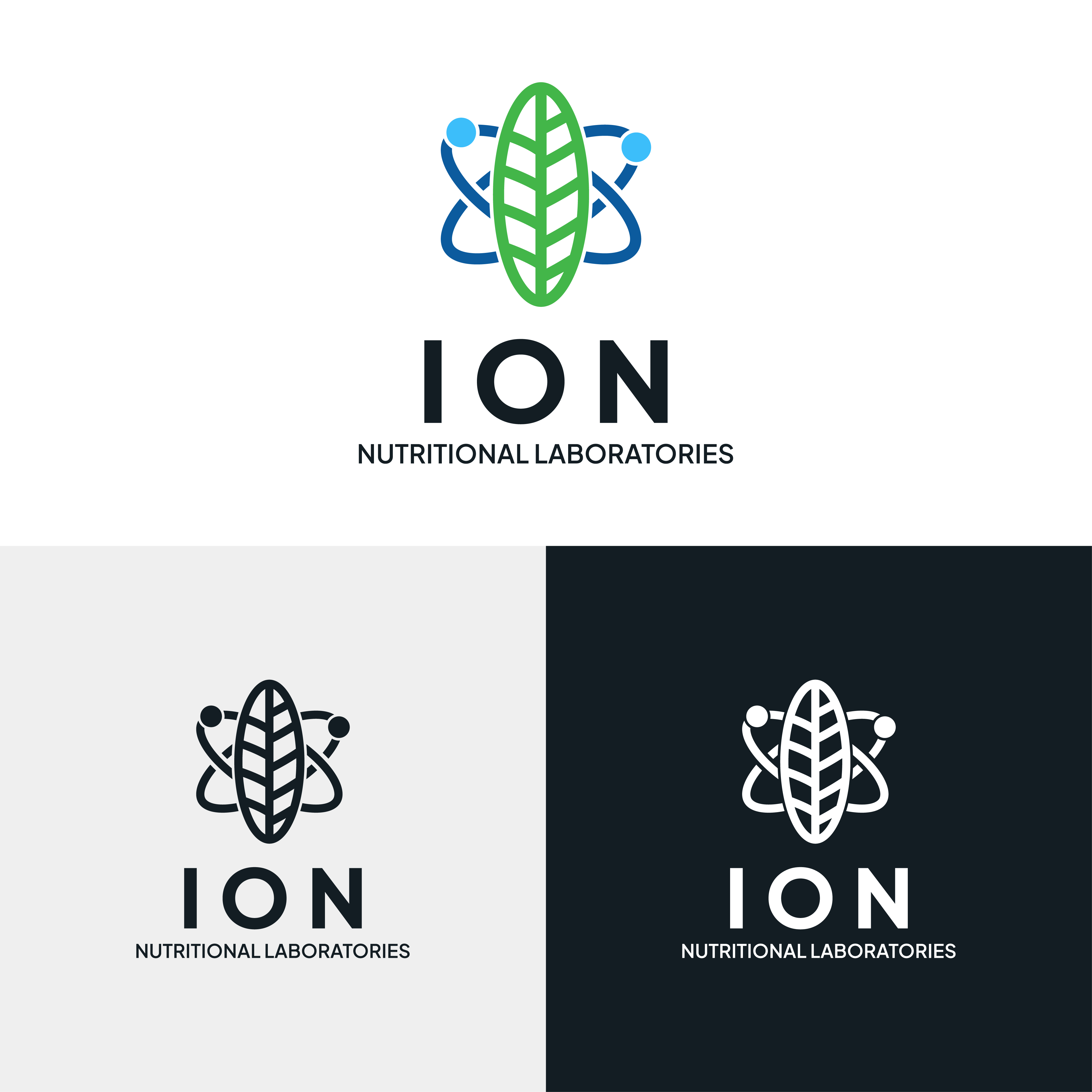 Logo Design by Choiresia.id for Ion Labs | Design #30217346